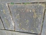 image of grave number 948070
